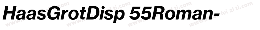 HaasGrotDisp 55Roman字体转换